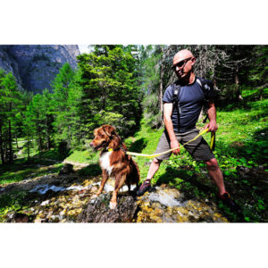 aktiv med din hund loebehjul kickbike dogscooter og cykel med hund aktiv med din hund loebehjul kickbike dogscooter og cykel med hund