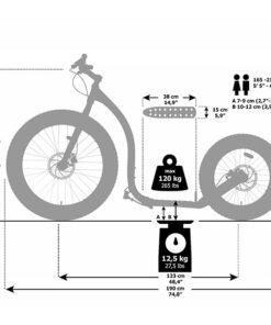 Kickbike Fat Max