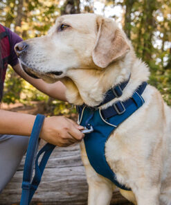 Låse vægt Integrere Ruffwear Front Range Sele - Qimmiq.dk