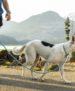 Retrieverliner