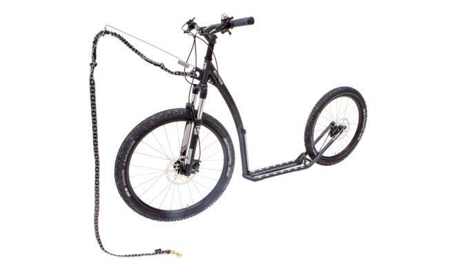 Kickbike - kostka