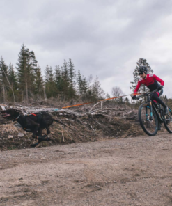 træksele til hund