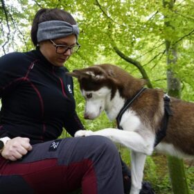 løbe med trækhund